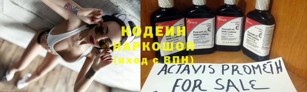 мет Протвино