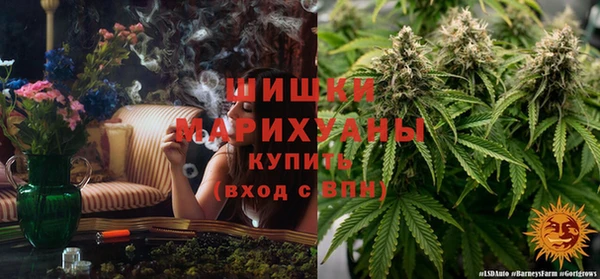 2c-b Надым