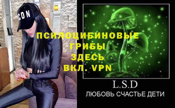 мет Протвино
