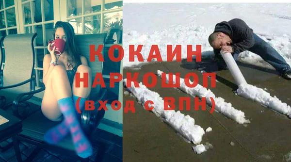 мет Протвино