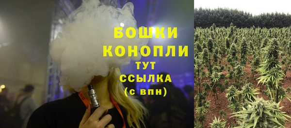 мет Протвино