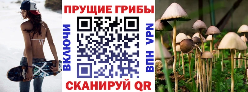 Галлюциногенные грибы мухоморы  где можно купить   Туран 
